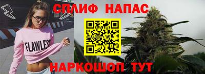 гидра Гусиноозёрск