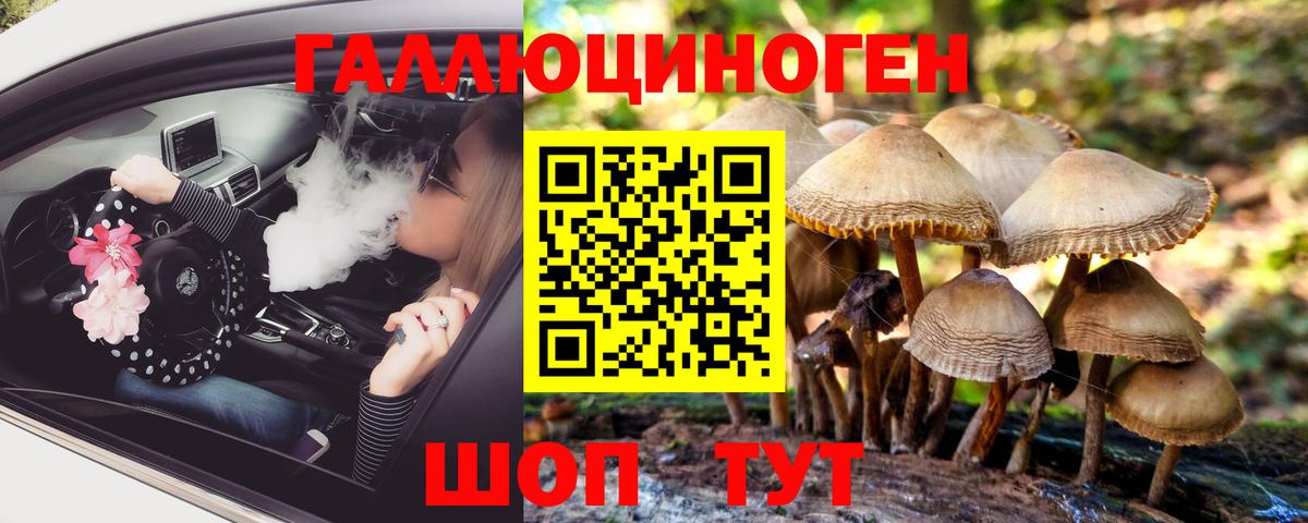Домодедово  Галлюциногенные грибы Psilocybine cubensis  Вход с VPN  Псилоцибиновые грибы Magic Shrooms 